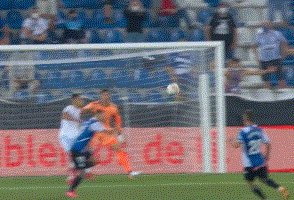 1628978239361036228.gif 563.gif